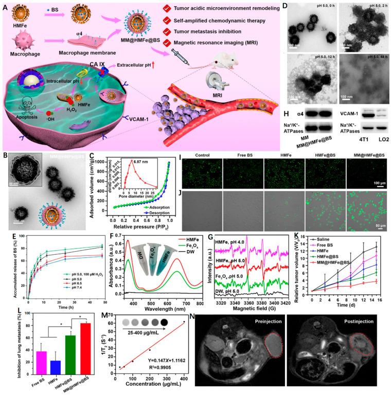 https://cdn.ncbi.nlm.nih.gov/pmc/blobs/c510/9457987/b983db5cf1f8/nanomaterials-12-03023-g004.jpg