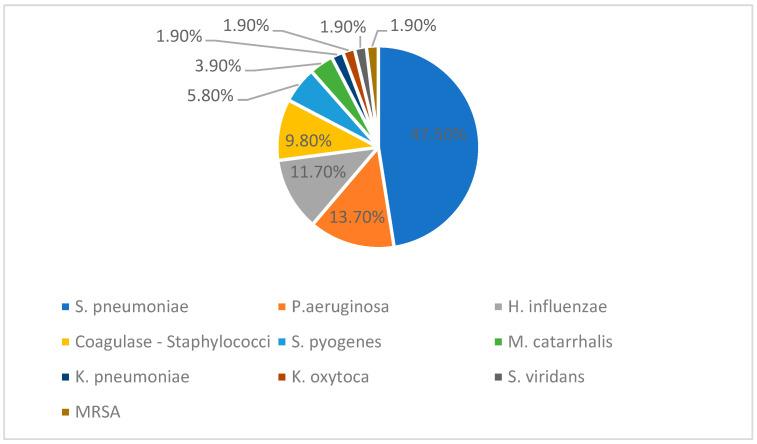 https://cdn.ncbi.nlm.nih.gov/pmc/blobs/c513/11854811/859d28aaef5f/children-12-00242-g003.jpg