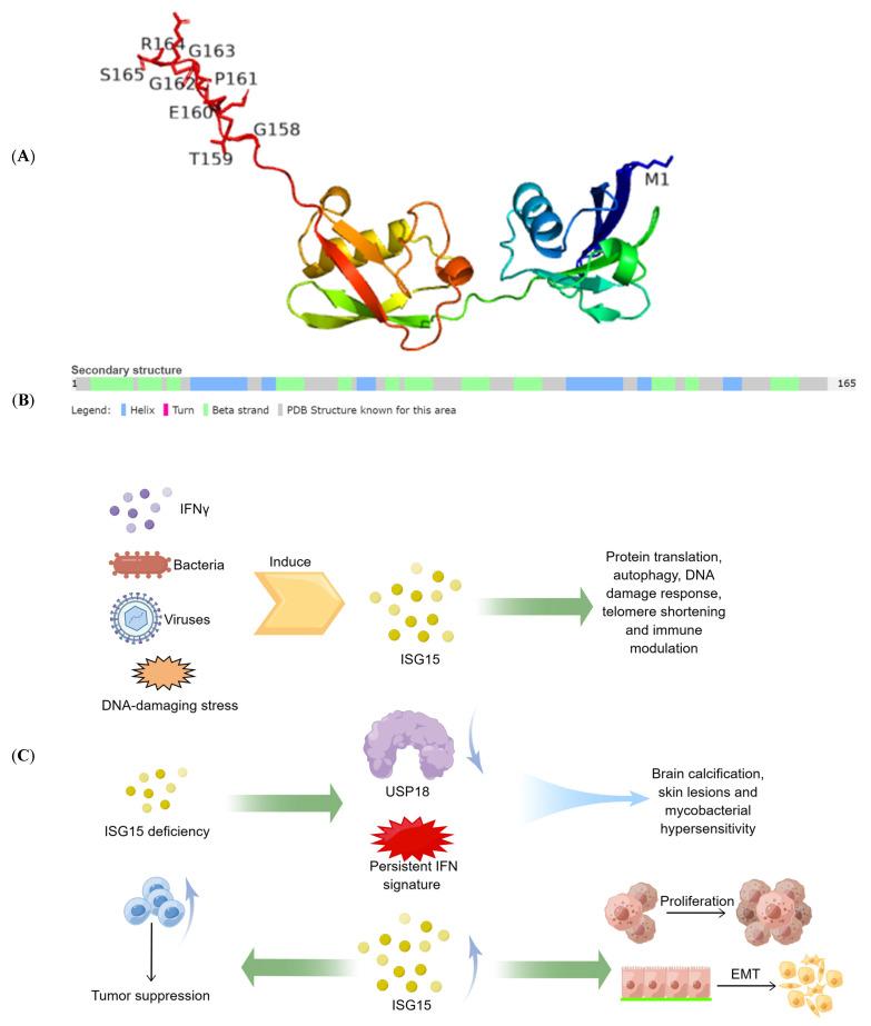 https://cdn.ncbi.nlm.nih.gov/pmc/blobs/c514/9918931/2018b41fc161/molecules-28-01337-g001.jpg