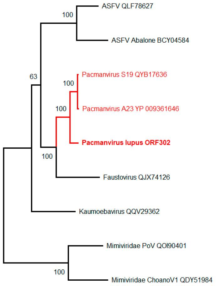 https://cdn.ncbi.nlm.nih.gov/pmc/blobs/c515/9958942/5eb8a73f6366/viruses-15-00564-g003.jpg