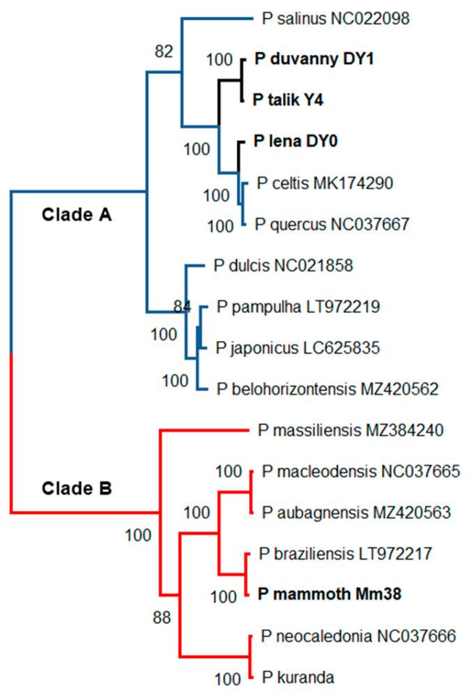 https://cdn.ncbi.nlm.nih.gov/pmc/blobs/c515/9958942/f2525279a7be/viruses-15-00564-g002.jpg