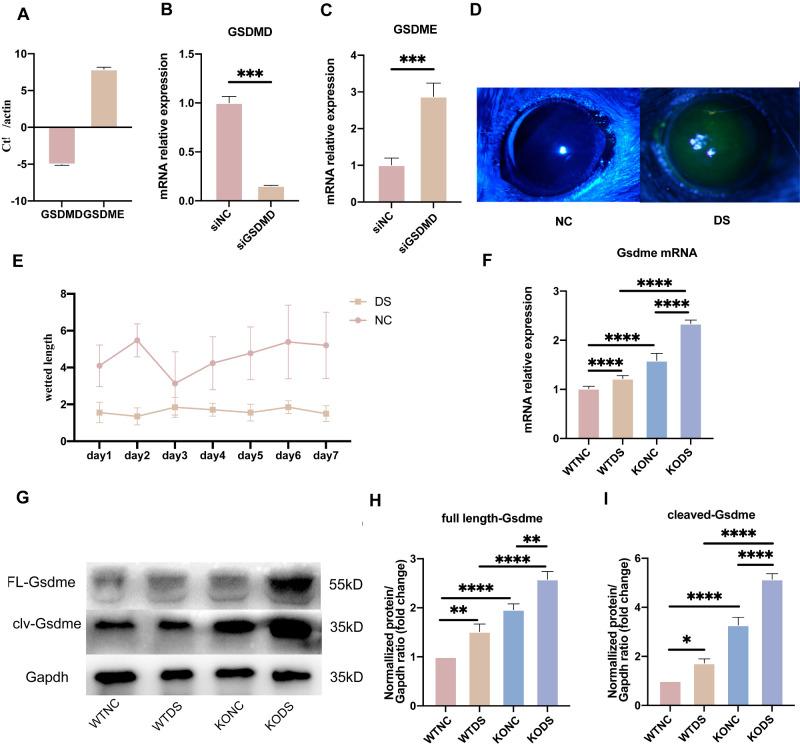 https://cdn.ncbi.nlm.nih.gov/pmc/blobs/c519/11731164/580560d1ac66/iovs-66-1-24-f003.jpg