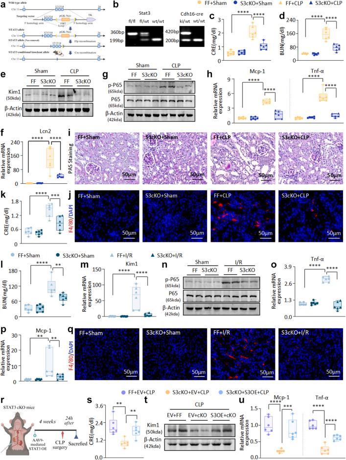 https://cdn.ncbi.nlm.nih.gov/pmc/blobs/c519/12136849/18dcf824878f/gr2.jpg