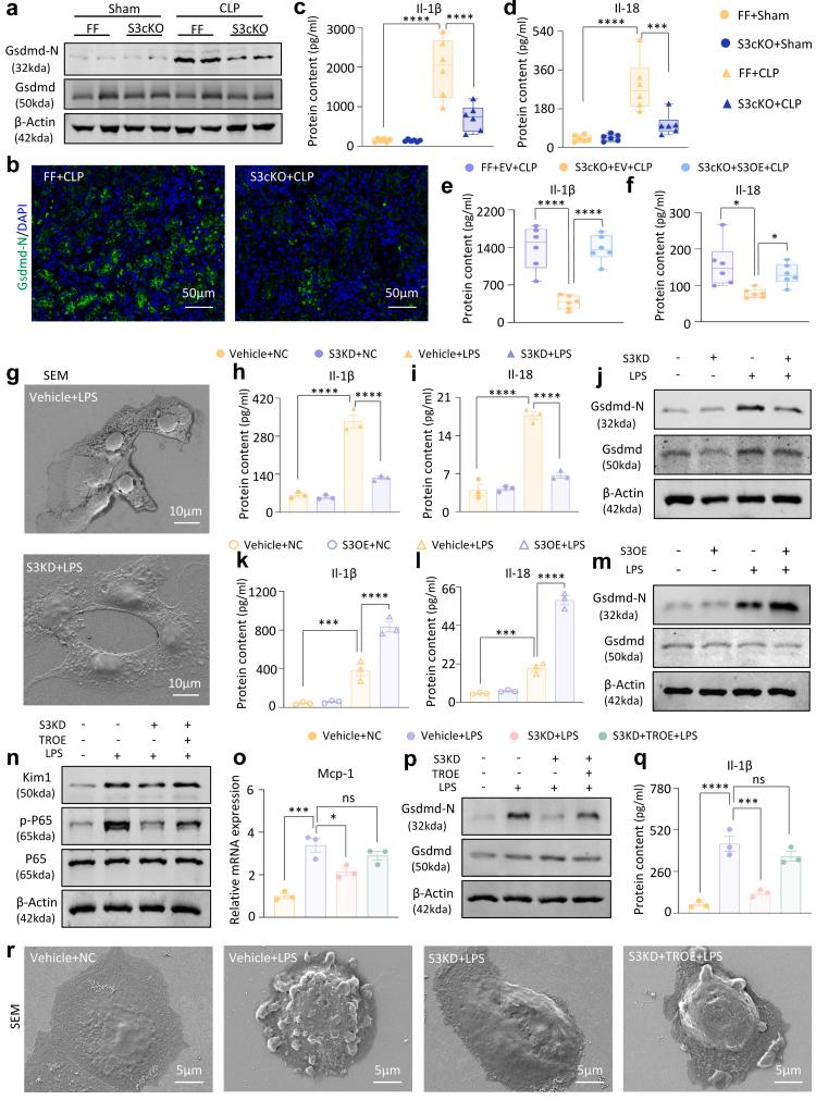 https://cdn.ncbi.nlm.nih.gov/pmc/blobs/c519/12136849/3c39e557b52d/gr6.jpg
