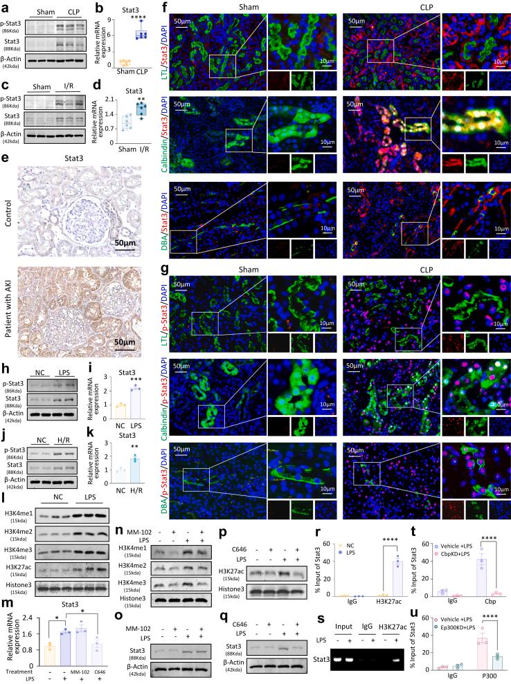 https://cdn.ncbi.nlm.nih.gov/pmc/blobs/c519/12136849/76ed30ec140f/gr1.jpg