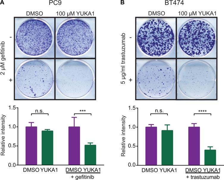https://cdn.ncbi.nlm.nih.gov/pmc/blobs/c519/5129982/7a683137d8a8/oncotarget-07-39931-g006.jpg