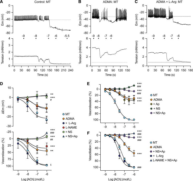 https://cdn.ncbi.nlm.nih.gov/pmc/blobs/c51c/10956675/a5bdf18cf4eb/hyp-81-764-g006.jpg