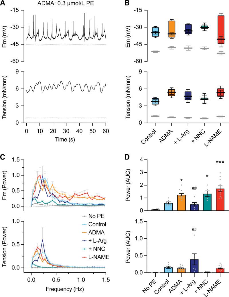 https://cdn.ncbi.nlm.nih.gov/pmc/blobs/c51c/10956675/a7d7262dc241/hyp-81-764-g001.jpg