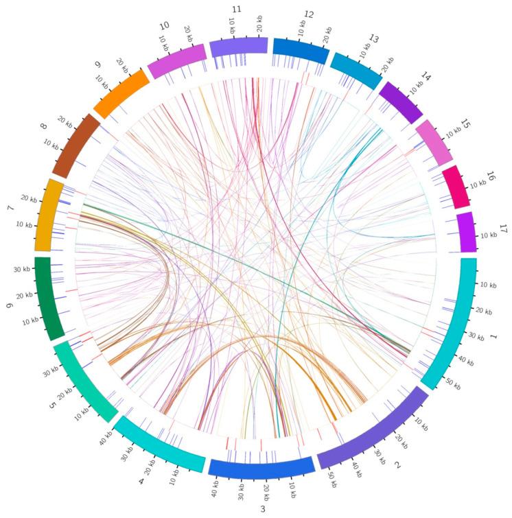 https://cdn.ncbi.nlm.nih.gov/pmc/blobs/c51c/11275824/ebc270701abc/genes-15-00834-g002.jpg