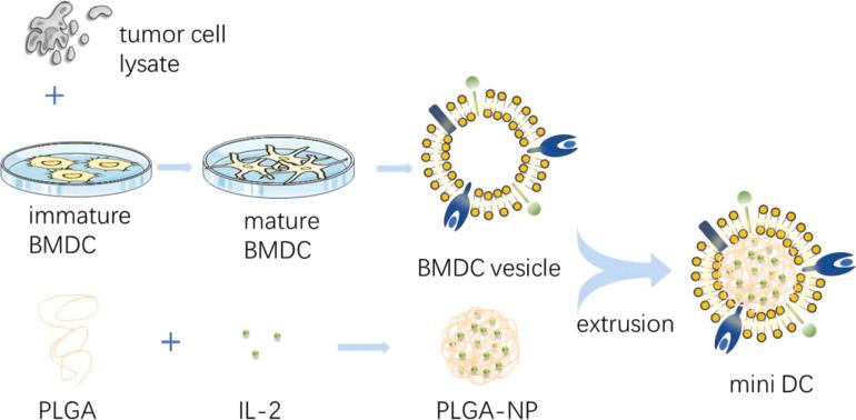 https://cdn.ncbi.nlm.nih.gov/pmc/blobs/c51d/12088825/9b19eddf498b/gr9.jpg