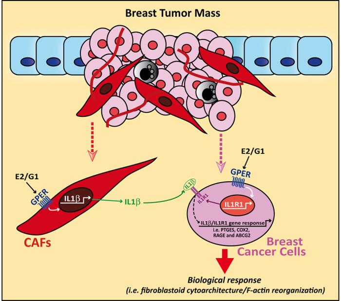 https://cdn.ncbi.nlm.nih.gov/pmc/blobs/c523/4829876/012423a3e650/srep24354-f9.jpg