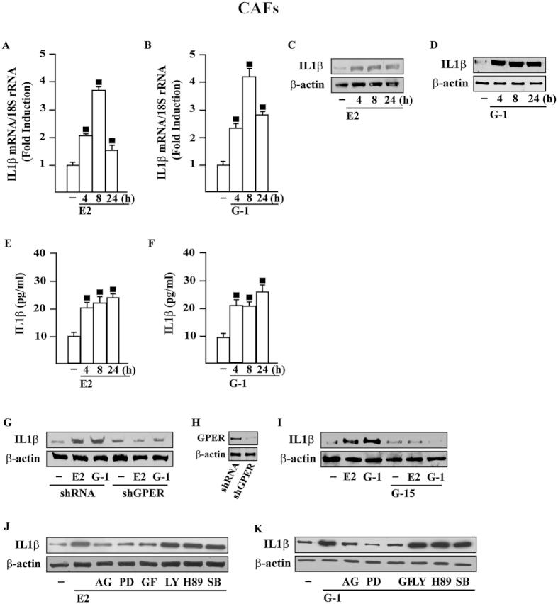 https://cdn.ncbi.nlm.nih.gov/pmc/blobs/c523/4829876/3568f5ccaf08/srep24354-f1.jpg