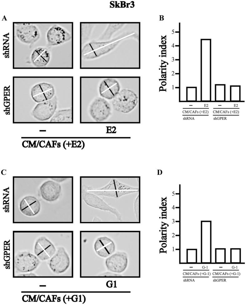 https://cdn.ncbi.nlm.nih.gov/pmc/blobs/c523/4829876/d5b866910e08/srep24354-f6.jpg