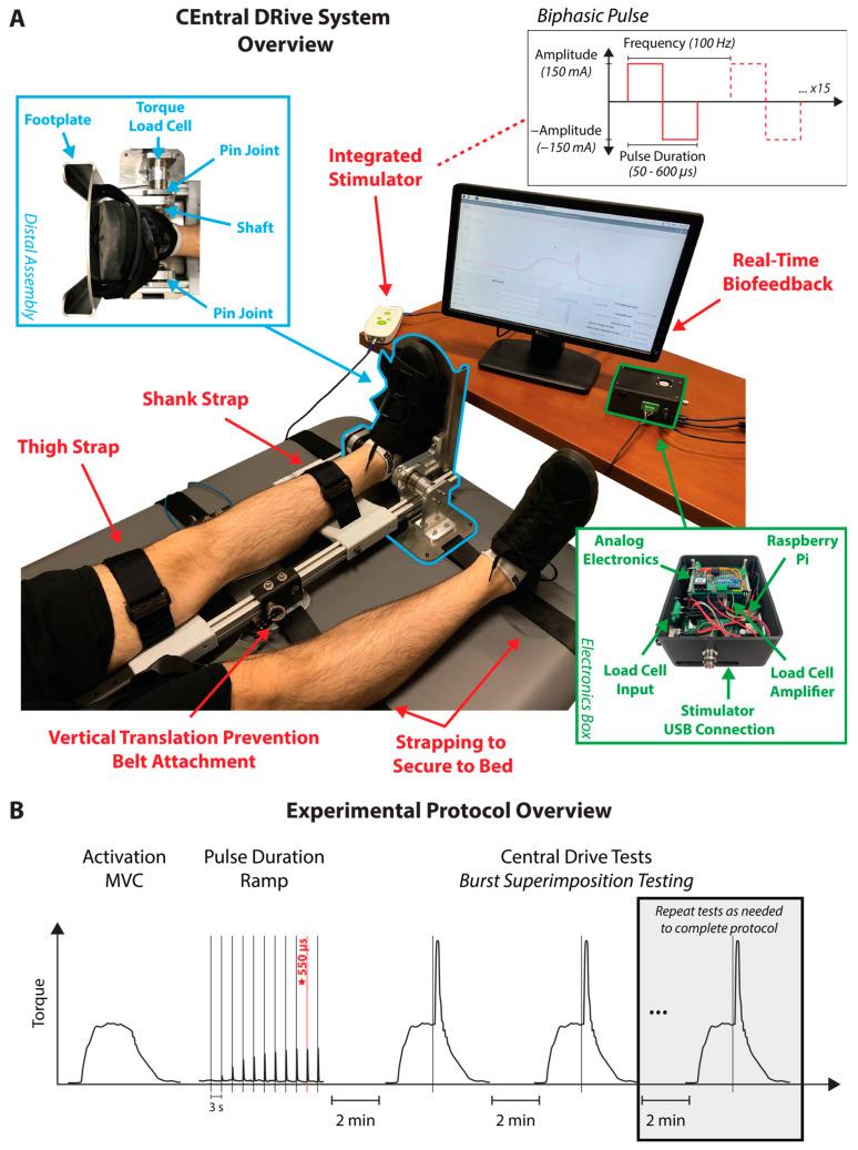 https://cdn.ncbi.nlm.nih.gov/pmc/blobs/c524/10885982/10426cd1c8d8/bioengineering-11-00137-g001.jpg