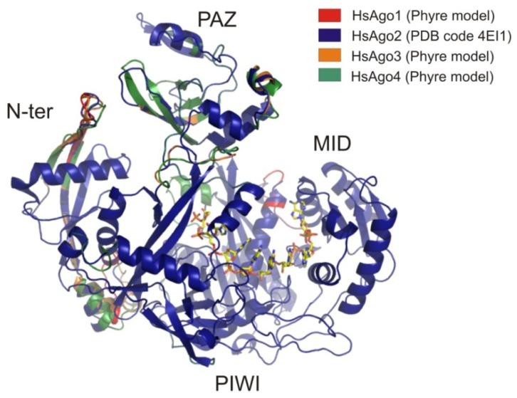 https://cdn.ncbi.nlm.nih.gov/pmc/blobs/c524/3431858/55f65595ae05/ijms-13-10268f6.jpg
