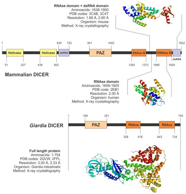 https://cdn.ncbi.nlm.nih.gov/pmc/blobs/c524/3431858/5eec2632e20f/ijms-13-10268f3.jpg