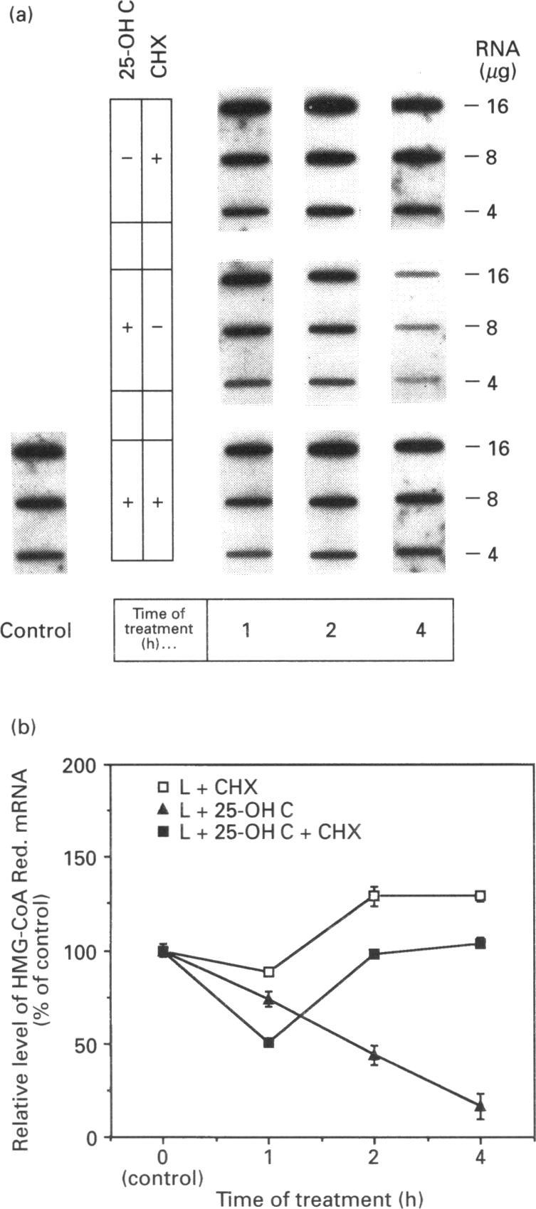 https://cdn.ncbi.nlm.nih.gov/pmc/blobs/c526/1137773/285ad8e38a6e/biochemj00097-0326-b.jpg