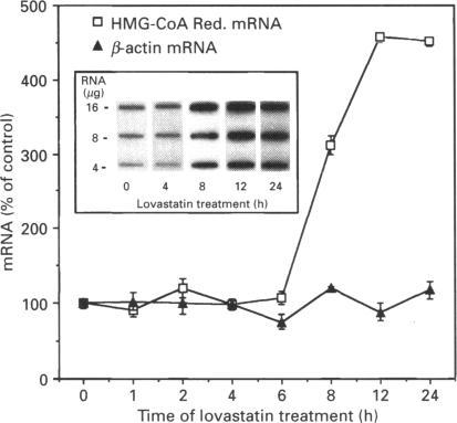 https://cdn.ncbi.nlm.nih.gov/pmc/blobs/c526/1137773/9de02046a3c4/biochemj00097-0326-a.jpg