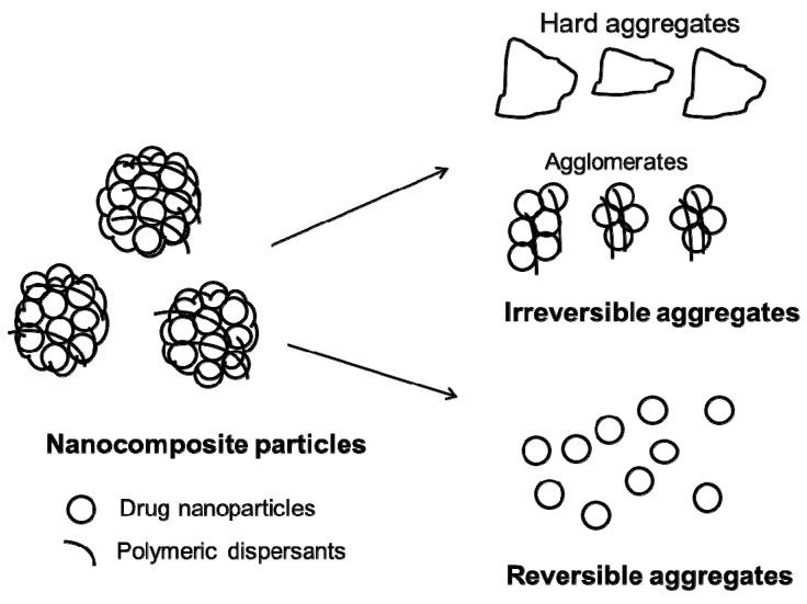 https://cdn.ncbi.nlm.nih.gov/pmc/blobs/c527/6160929/b981ab0ba5e7/pharmaceutics-10-00086-g002.jpg