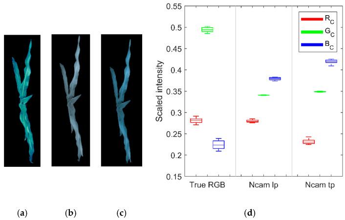 https://cdn.ncbi.nlm.nih.gov/pmc/blobs/c528/7308988/21e2fd436269/sensors-20-03208-g005.jpg