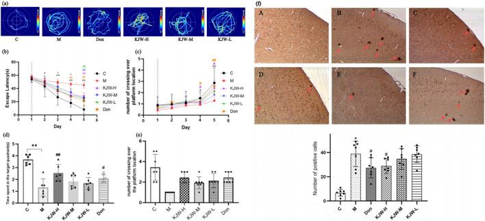 https://cdn.ncbi.nlm.nih.gov/pmc/blobs/c52a/12061922/dcc0c2318ea9/fphar-16-1483883-g001.jpg