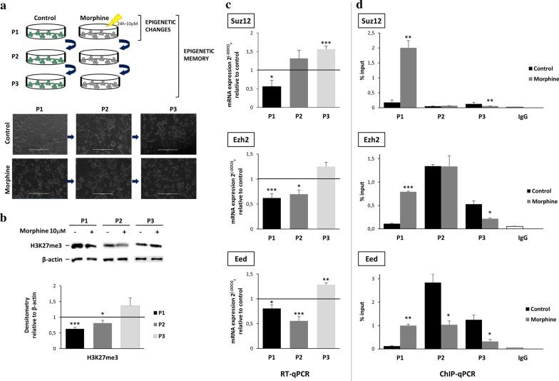 https://cdn.ncbi.nlm.nih.gov/pmc/blobs/c52e/7654014/67f8698fc360/13148_2020_955_Fig5_HTML.jpg