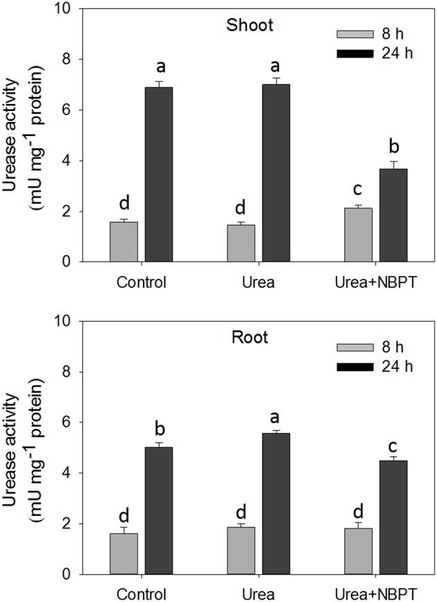 https://cdn.ncbi.nlm.nih.gov/pmc/blobs/c52f/4916206/f1329c616857/fpls-07-00845-g0001.jpg