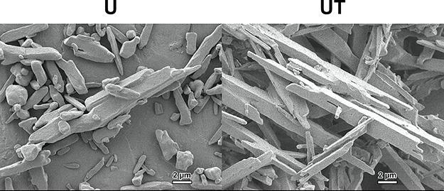 https://cdn.ncbi.nlm.nih.gov/pmc/blobs/c532/11270678/8e80937de51f/ao4c04251_0001.jpg
