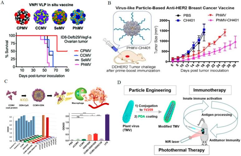 https://cdn.ncbi.nlm.nih.gov/pmc/blobs/c533/11759177/df0535e29aaa/bioengineering-12-00007-g004.jpg