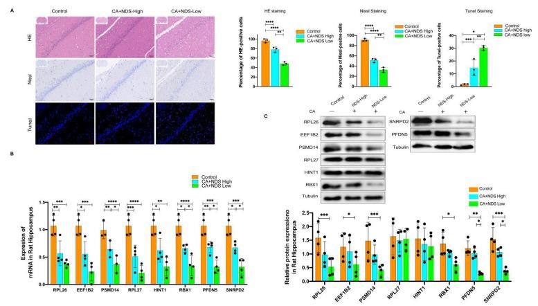 https://cdn.ncbi.nlm.nih.gov/pmc/blobs/c536/9316619/b30b31660fc4/brainsci-12-00928-g007.jpg