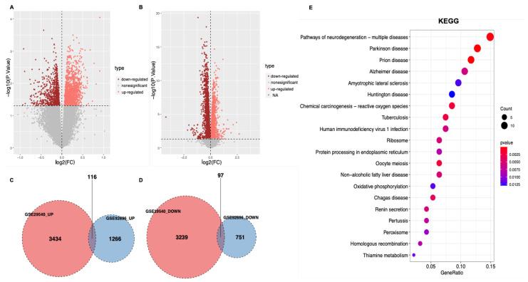 https://cdn.ncbi.nlm.nih.gov/pmc/blobs/c536/9316619/de722753d389/brainsci-12-00928-g001.jpg