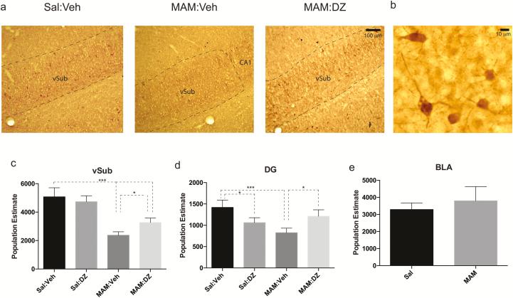 https://cdn.ncbi.nlm.nih.gov/pmc/blobs/c537/5137280/632b09d5528e/ijnppy_pyw065_f0001.jpg