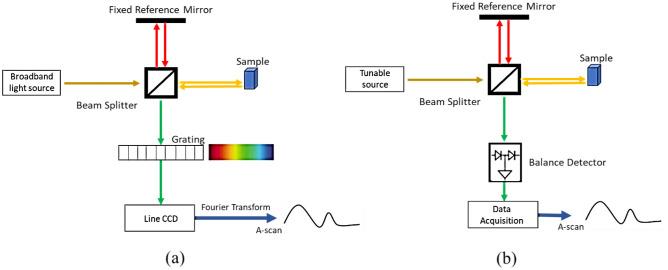 https://cdn.ncbi.nlm.nih.gov/pmc/blobs/c539/10730902/a14e9bb95fbc/41598_2023_50164_Fig2_HTML.jpg