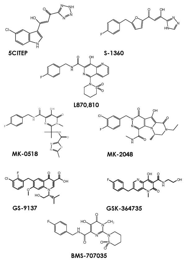 https://cdn.ncbi.nlm.nih.gov/pmc/blobs/c53c/2660292/78daff744070/1742-4690-6-25-1.jpg