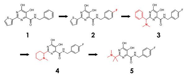 https://cdn.ncbi.nlm.nih.gov/pmc/blobs/c53c/2660292/9b57bfa6fdd7/1742-4690-6-25-3.jpg