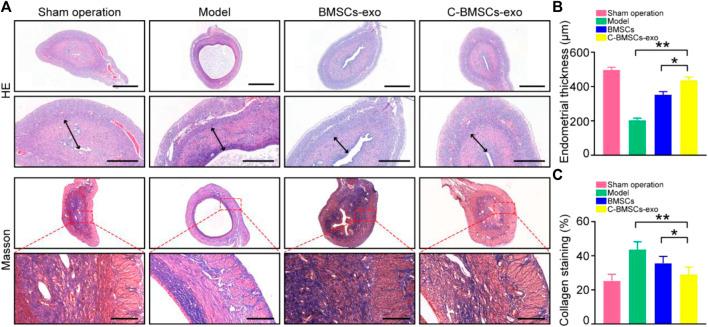 https://cdn.ncbi.nlm.nih.gov/pmc/blobs/c53d/9043110/088e1a60256c/fbioe-10-868734-g005.jpg
