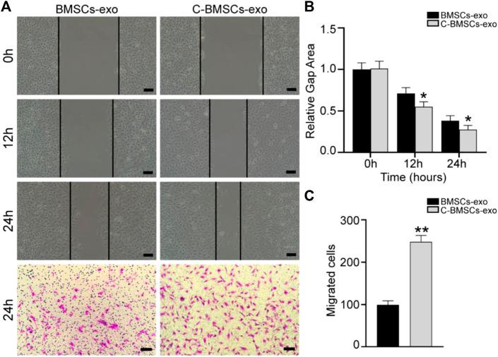 https://cdn.ncbi.nlm.nih.gov/pmc/blobs/c53d/9043110/84d6a679ee65/fbioe-10-868734-g003.jpg