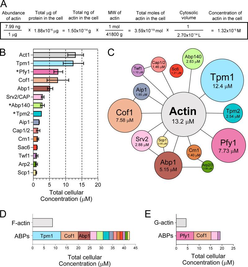 https://cdn.ncbi.nlm.nih.gov/pmc/blobs/c53e/10558290/08c6502e58fd/JCB_202306036_Fig1.jpg