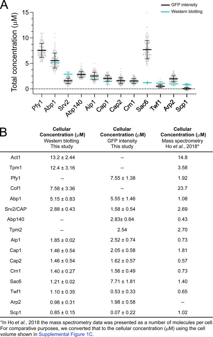 https://cdn.ncbi.nlm.nih.gov/pmc/blobs/c53e/10558290/b0b7b4756680/JCB_202306036_FigS2.jpg