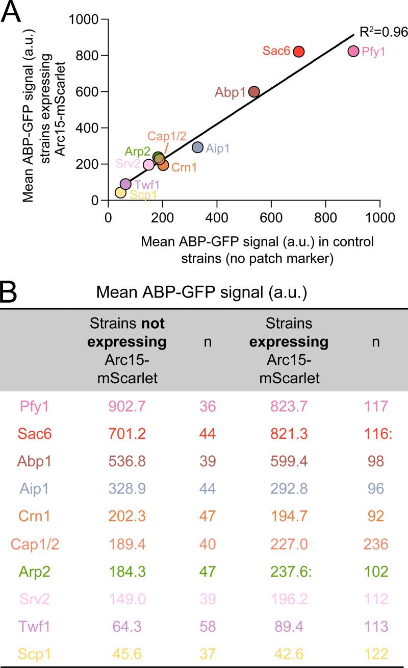 https://cdn.ncbi.nlm.nih.gov/pmc/blobs/c53e/10558290/e51e095baed8/JCB_202306036_FigS3.jpg