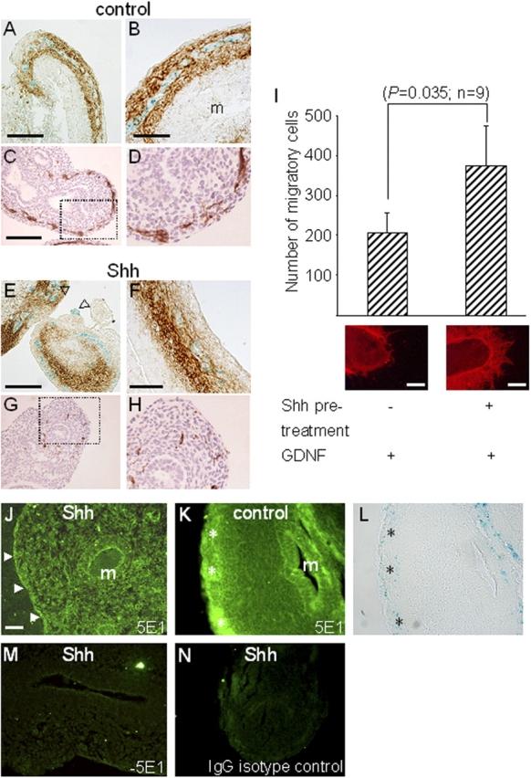 https://cdn.ncbi.nlm.nih.gov/pmc/blobs/c53e/2172437/5751b80edc6a/200401077f7.jpg
