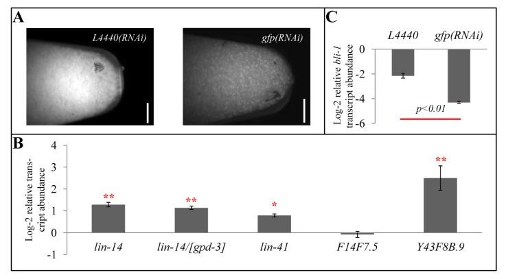 https://cdn.ncbi.nlm.nih.gov/pmc/blobs/c53f/3899986/ca24b27be556/genes-03-00671-g004.jpg