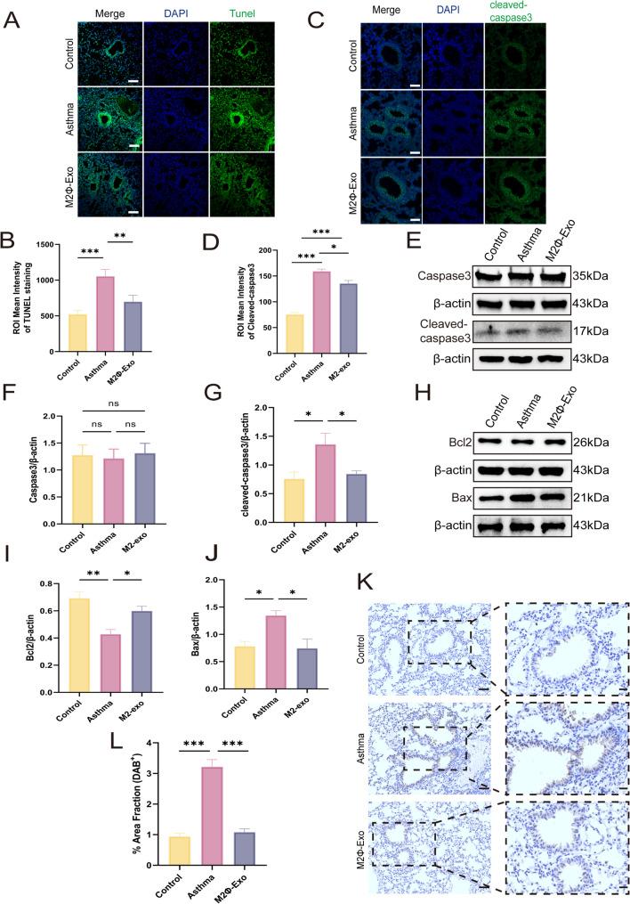 https://cdn.ncbi.nlm.nih.gov/pmc/blobs/c541/12090695/89de2a7816a2/12950_2025_444_Fig6_HTML.jpg