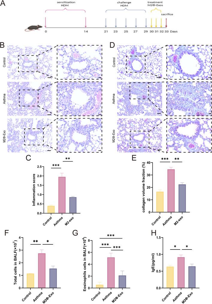 https://cdn.ncbi.nlm.nih.gov/pmc/blobs/c541/12090695/9cd0b2f2444d/12950_2025_444_Fig4_HTML.jpg