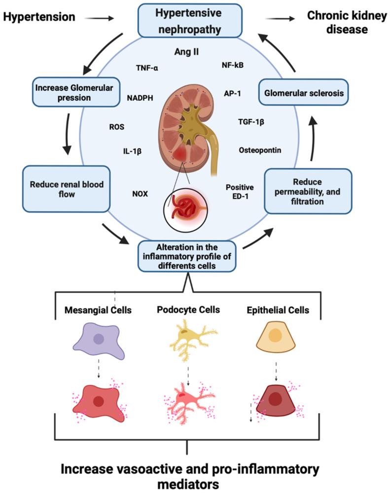 https://cdn.ncbi.nlm.nih.gov/pmc/blobs/c542/9785367/775d18300265/ijms-23-15936-g002.jpg