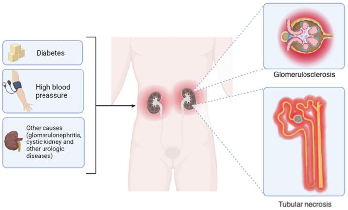 https://cdn.ncbi.nlm.nih.gov/pmc/blobs/c542/9785367/b4b1a313065b/ijms-23-15936-g001.jpg