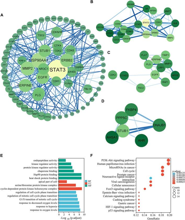 https://cdn.ncbi.nlm.nih.gov/pmc/blobs/c543/9389883/7047fd18286d/fphar-13-927731-g003.jpg