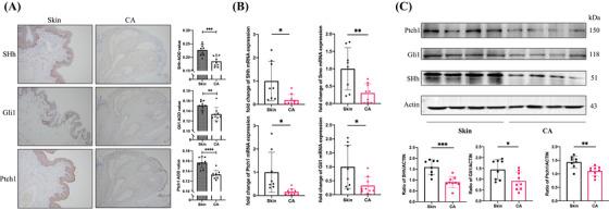 https://cdn.ncbi.nlm.nih.gov/pmc/blobs/c544/9838784/e814e104baad/SRT-29-e13265-g001.jpg