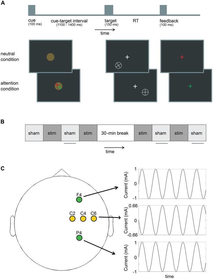 https://cdn.ncbi.nlm.nih.gov/pmc/blobs/c545/5259681/9415e103b353/fnhum-10-00658-g0001.jpg