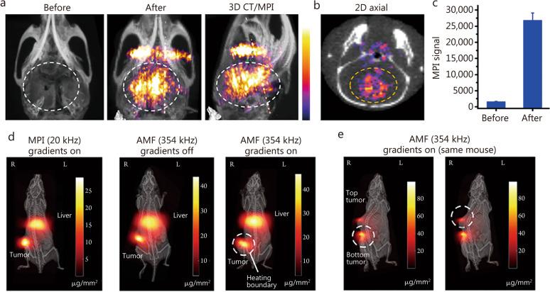 https://cdn.ncbi.nlm.nih.gov/pmc/blobs/c546/12034128/0099c75ca5b4/40779_2025_603_Fig5_HTML.jpg
